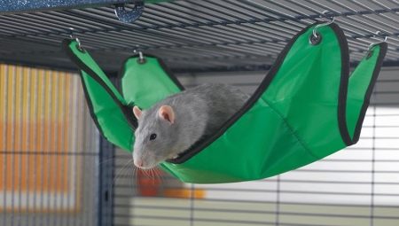 Viseća mreža za štakora: kako odabrati, učiniti sami i opremiti?