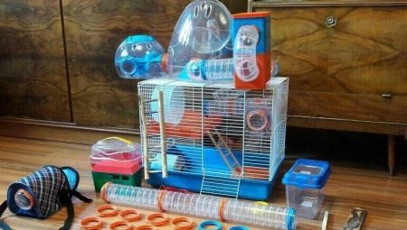 Jucării pentru hamsteri: selecție și fabricare