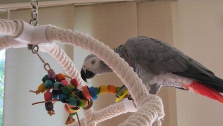 DIY hračky pro papoušky