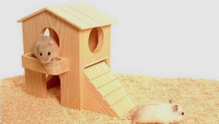 Hvordan og fra hvad laver man et hus til en hamster med egne hænder?