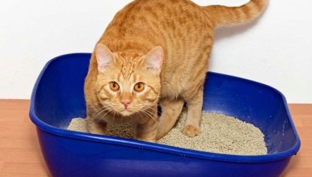 Ako si vybrať hrudkujúce stelivo pre stelivo pre mačky?