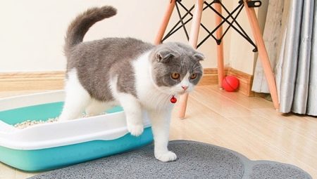 Comment choisir un tapis de litière pour chat ?