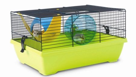 Cages pour hamsters Dzungarian : que sont-elles et comment les nettoyer ?