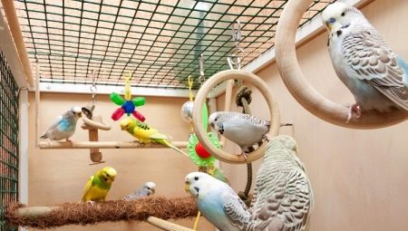 Kavezi za papagaja: odabir, uređenje, ugradnja i njega