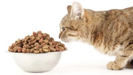 Aliment per a gats castrats i gats castrats