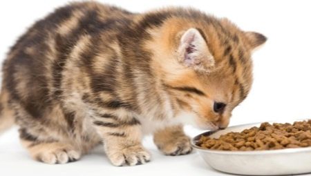 Thức ăn cho mèo siêu cao cấp: mô tả, nhãn hiệu, mẹo chọn