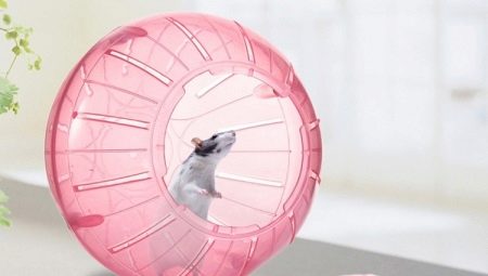 Hamster ball: mga kinakailangan at tampok na pagpipilian