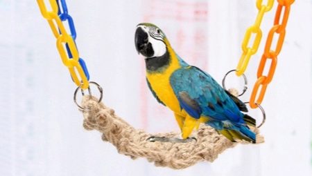 Typer og utvalg av papegøyeleker