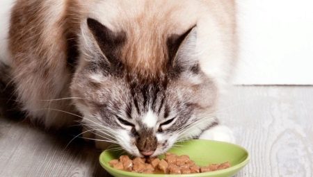 Superprémiové mokré krmivo pre mačky: zloženie, značky, výber