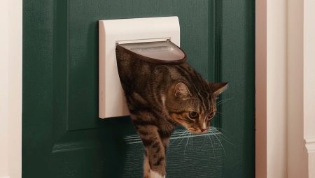 Elegir una puerta de baño para gatos