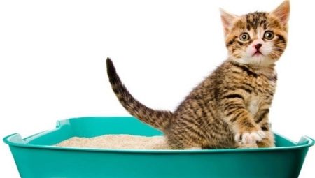 Japońskie wypełniacze do żwiru dla kotów