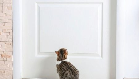 Vad kan göras för att förhindra att katter markerar ytterdörren?