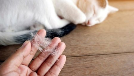 Làm thế nào để loại bỏ lông mèo?