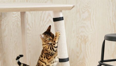 Hoe een kat te spenen van het scheuren van behang?