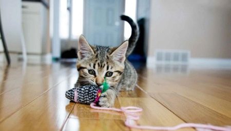 Bagaimana untuk membuat mainan kucing DIY?