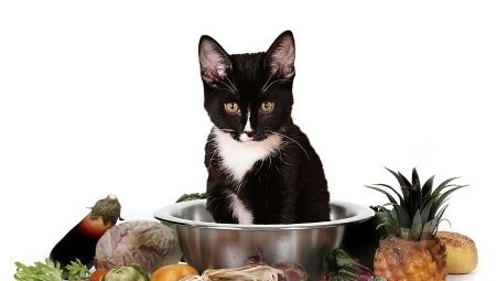 Kuinka valita kasvis- ja vegaaniset kissanruoat?