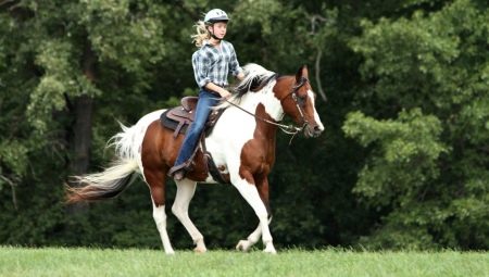 Menunggang Kuda: Kelebihan, Kelemahan dan Cadangan Utama