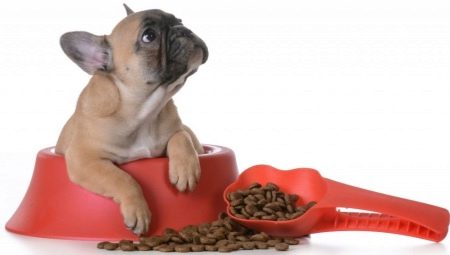 Alimentos para el Bulldog Francés: ¿que hay y como elegir?