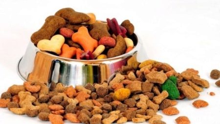 Makanan anjing super premium: karakteristik, ulasan, pemilihan, aturan pemberian makan