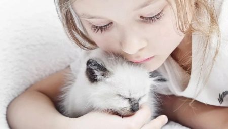 Mačke za djecu: pregled najboljih pasmina