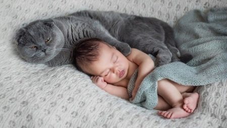 Newborn baby and cat in the apartment