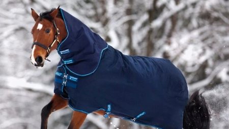 Pokrivač za konje: funkcije i sorte