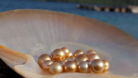 Perły rzeczne: cechy, właściwości i różnice w porównaniu z perłami morskimi