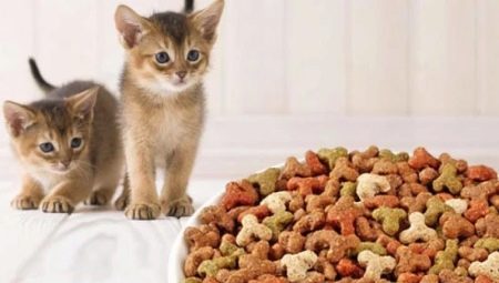 Βαθμολογία τροφής για γατάκια και κανόνες επιλογής