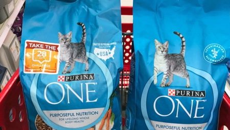 Petua untuk Memilih Makanan Kucing Kering Hypoallergenic