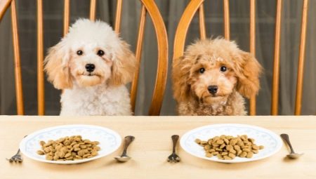 Suché krmivo pro psy: třídy, kritéria výběru a pravidla krmení
