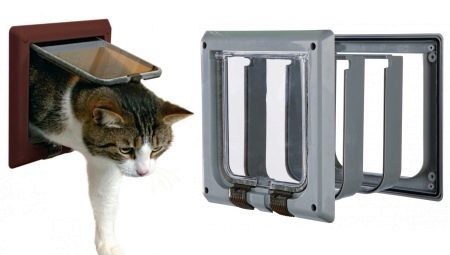 Tipos e seleção de portas de gato