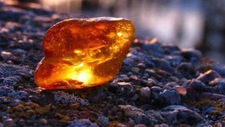 Jantár: vlastnosti, druhy a vlastnosti kameňa
