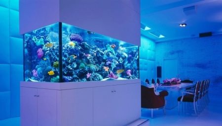 Akvariji u unutrašnjosti: vrste, odabir i preporuke za ugradnju