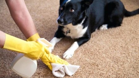 Antigadin pro psy: typy přípravků a pravidla výběru