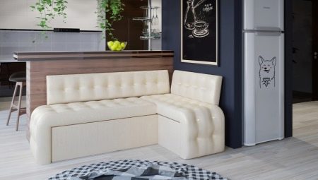 Sofa dengan tempat tidur di dapur: jenis dan petua untuk memilih