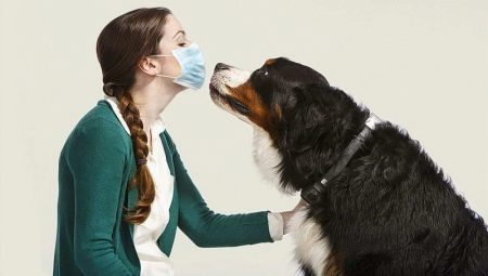 Chó ít gây dị ứng: danh sách các giống chó phổ biến