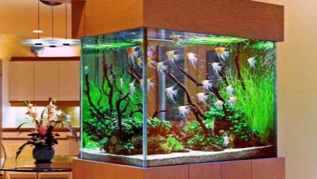 Umjetne biljke za akvarij: uporaba, prednosti i nedostaci