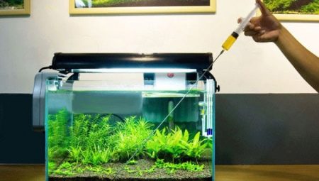 Comment et à partir de quoi pouvez-vous fabriquer vous-même des engrais pour plantes d'aquarium?
