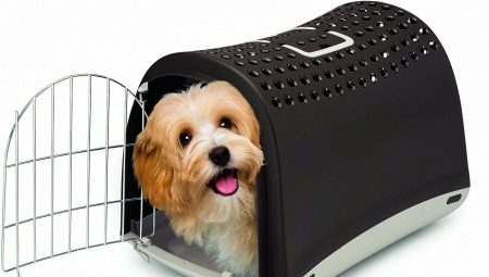 Nosiče pre psov: účel a typy