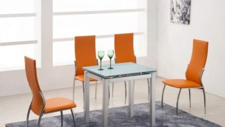 Stühle für die Küche auf einem Metallgestell: Funktionen und Auswahl