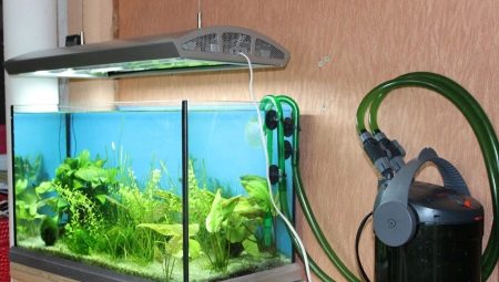 Externí filtry pro akvárium: návrh, výběr a instalace
