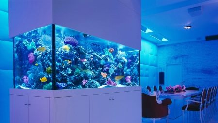 Akvaariot 300 litralle: mitat, valikoima ja varusteet