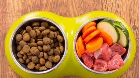 Which is better: natural or dry dog ​​food?