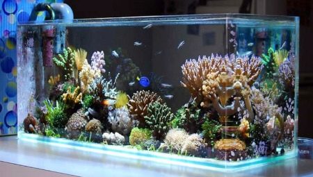 Aquarium decor: types and applications