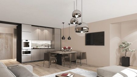 Virtuves-dzīvojamās istabas dizains 25 kv. m: labākie projekti un dizaina iespējas