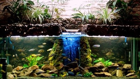 Fytofilters voor een aquarium: doel en variëteiten, doe het zelf