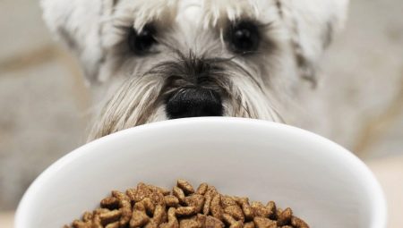 Makanan anjing hipoalergenik: fitur, jenis, dan kriteria pemilihan