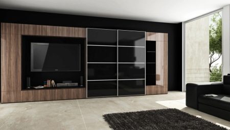 Obývací skříňky v moderním stylu: typy a možnosti