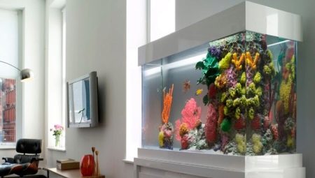 Konstgjorda akvarium: typer och tillämpningar