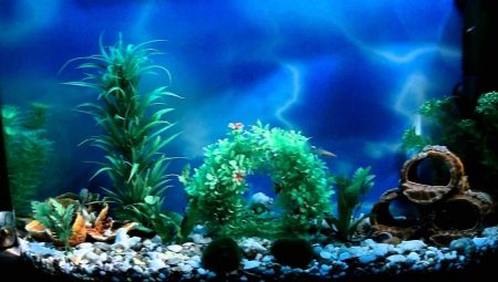 Paggawa ng background para sa isang aquarium gamit ang iyong sariling mga kamay